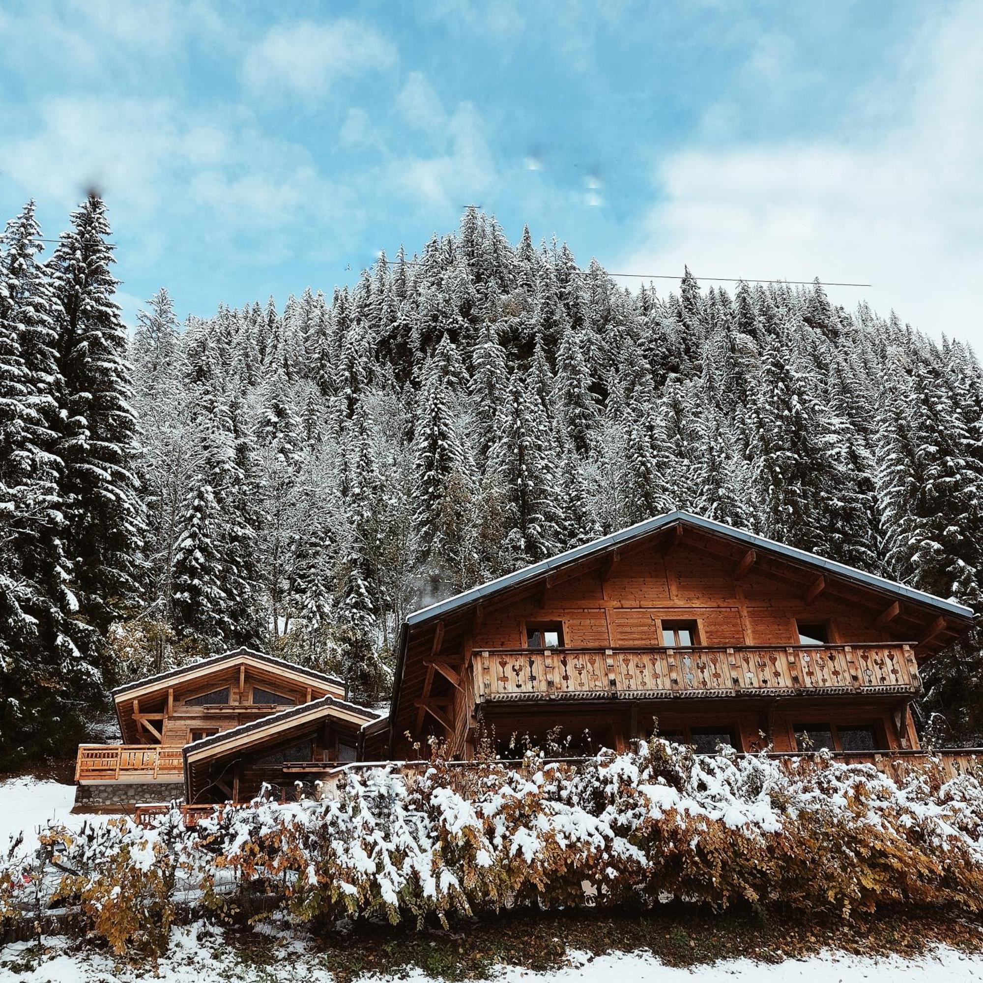 Savoya Lodges Châtel Dış mekan fotoğraf